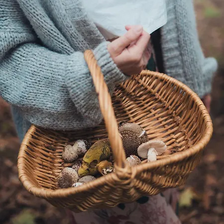 Kryjowka - Jurty Ukryte Wsrod Zieleni * Leszczyniec