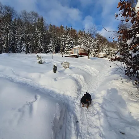 Kryjowka - Jurty Ukryte Wsrod Zieleni *