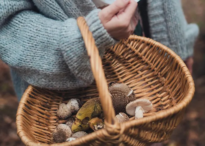 Kryjowka - Jurty Ukryte Wsrod Zieleni * Leszczyniec