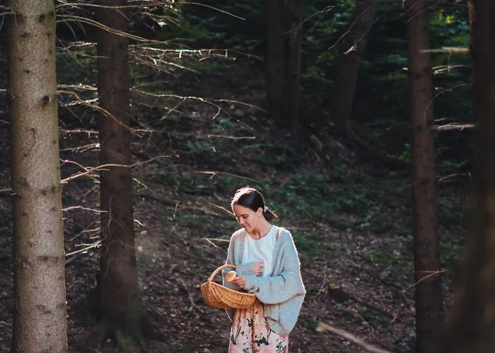 Kryjowka - Jurty Ukryte Wsrod Zieleni Leszczyniec