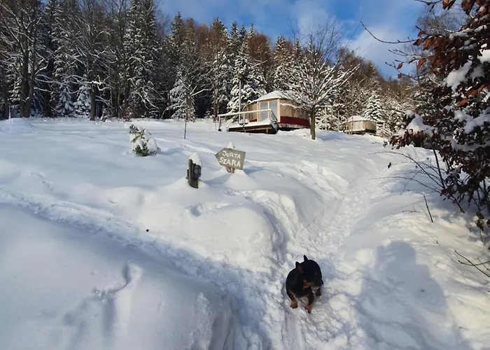 Kryjowka - Jurty Ukryte Wsrod Zieleni *